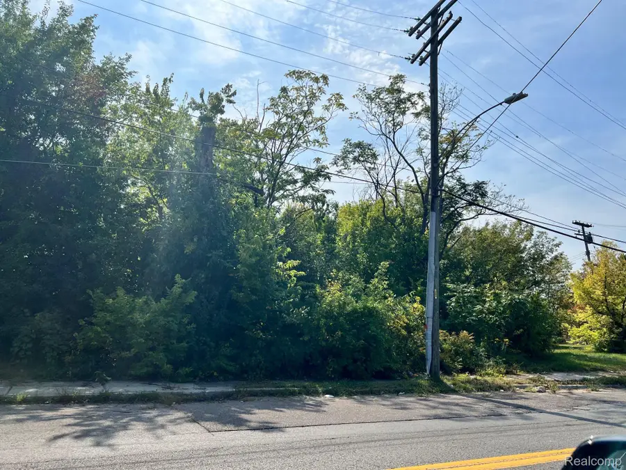 5387 BANGOR ST, Detroit, MI 48210 - Image #3