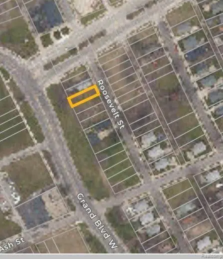 3369 ROOSEVELT ST, Detroit, MI 48208 - Image #3