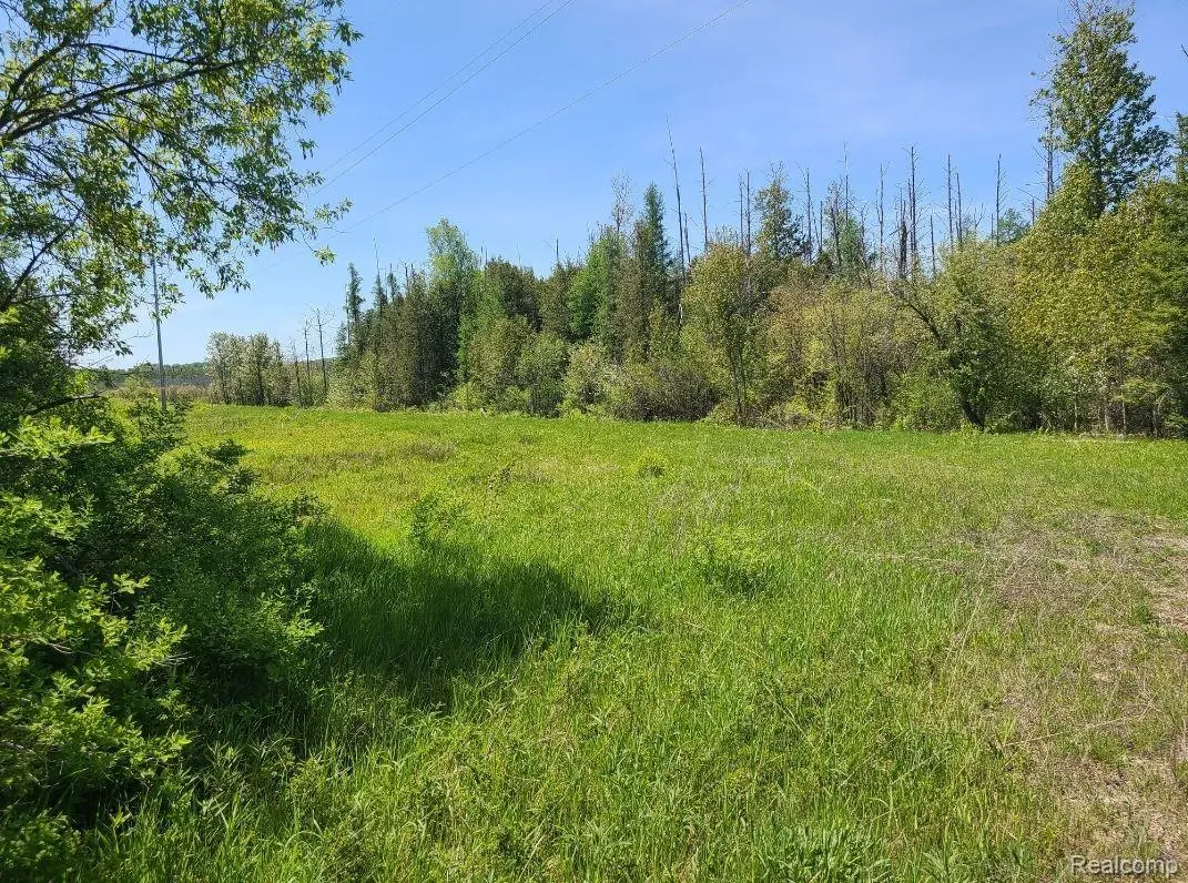 0000 Hebron Mail Route Rd, Cheboygan, MI 49721 - Image #1