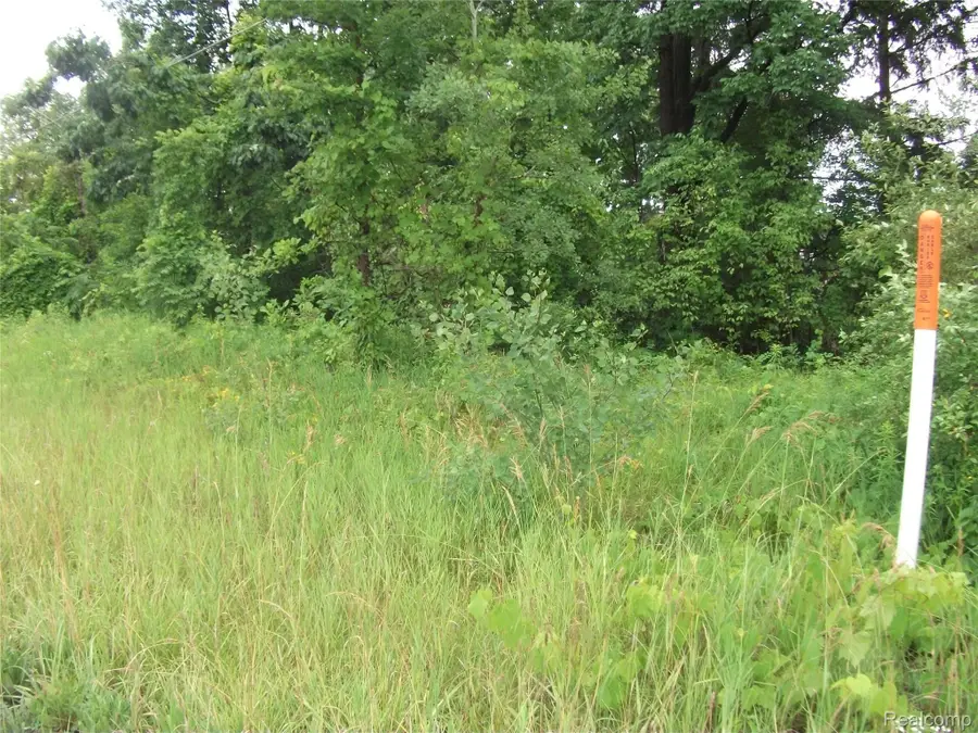 0000 SEYMOUR LAKE DR, Ortonville, MI 48462 - Image #2