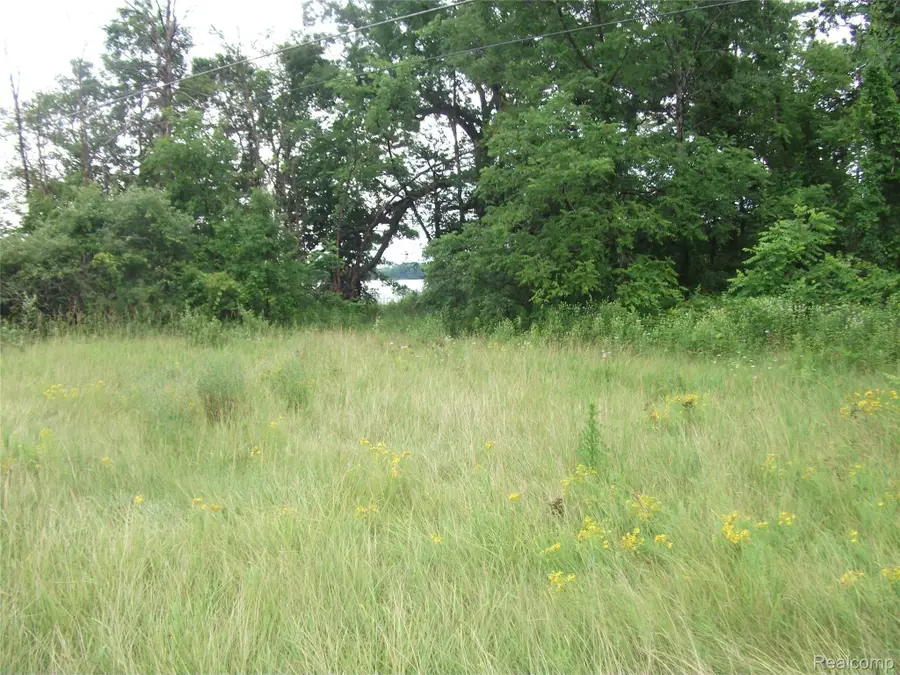 0000 SEYMOUR LAKE DR, Ortonville, MI 48462 - Image #3