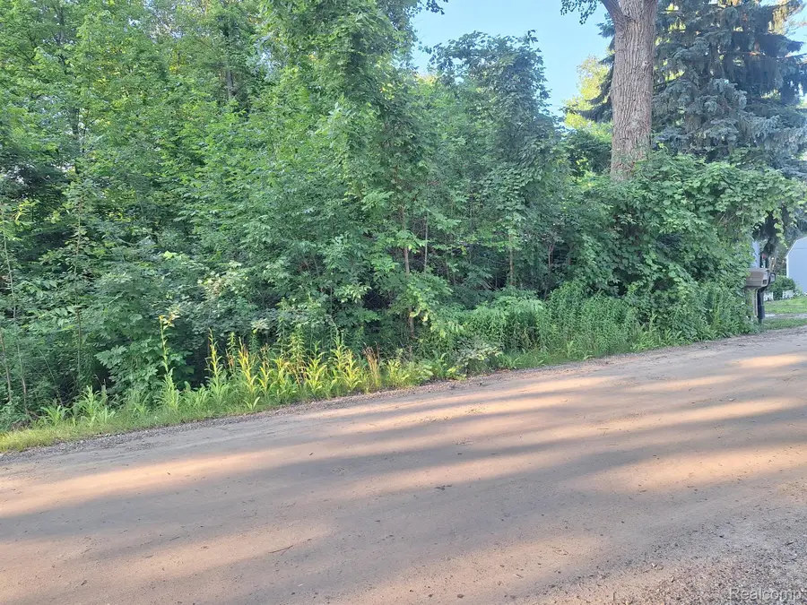 000 Birchwood RD, Lexington, MI 48450 - Image #3