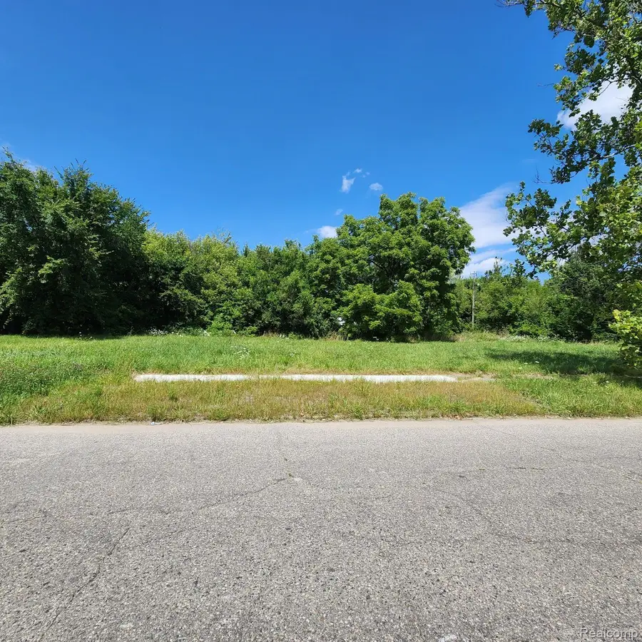 945 E EUCLID ST, Detroit, MI 48211 - Image #3