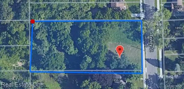 18985 TRINITY ST, Detroit, MI 48219