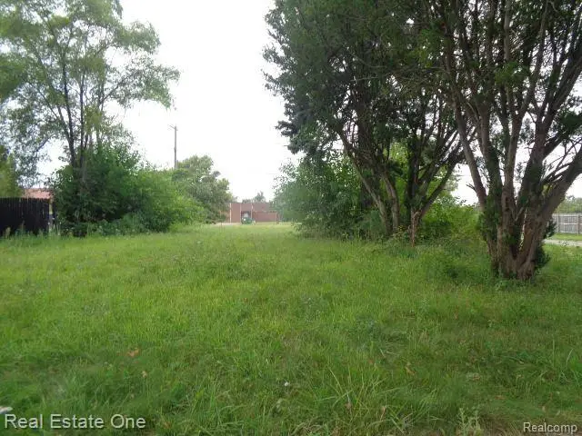 13281 GABLE ST, Hamtramck, MI 48212 - Image #3