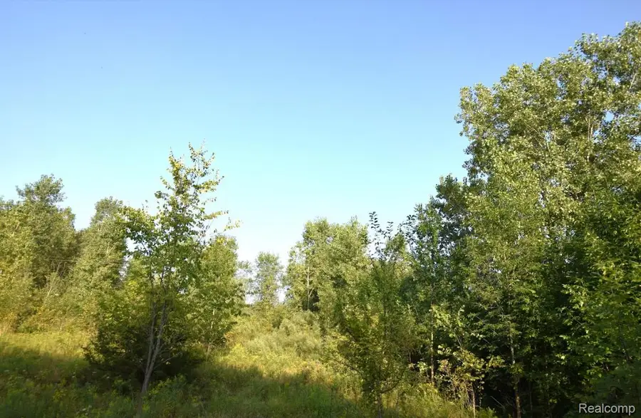 8506 DUFFIELD RD, Flushing, MI 48433 - #2