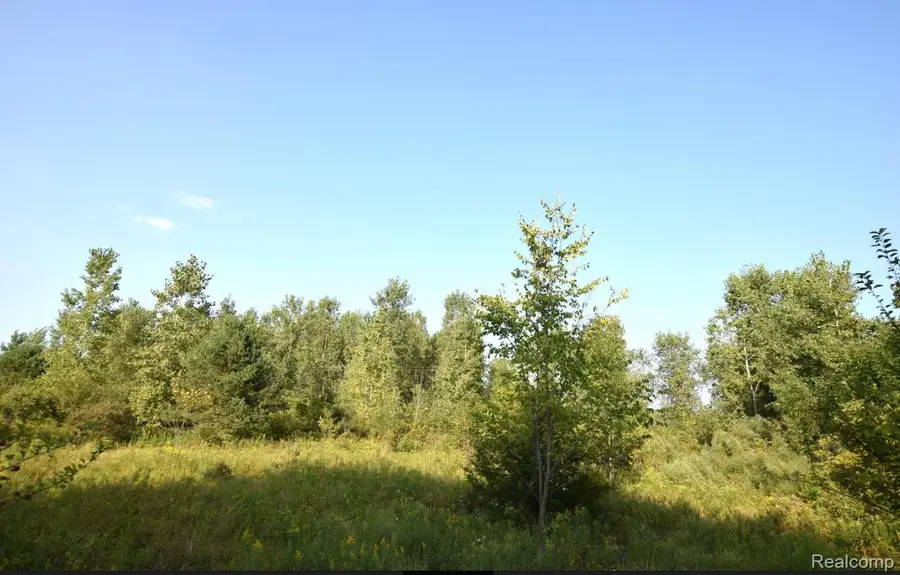 8506 DUFFIELD RD, Flushing, MI 48433 - #3