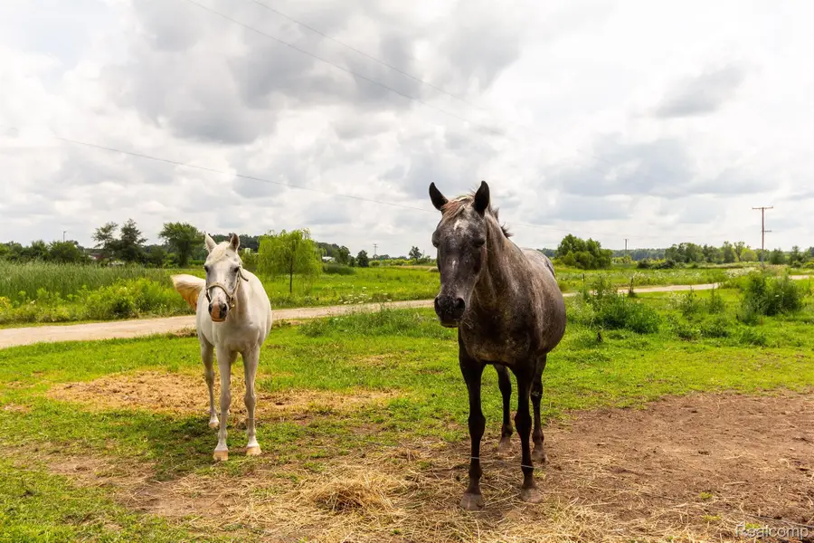 8620 SCIO CHURCH RD, Lima, MI 48103 - #3