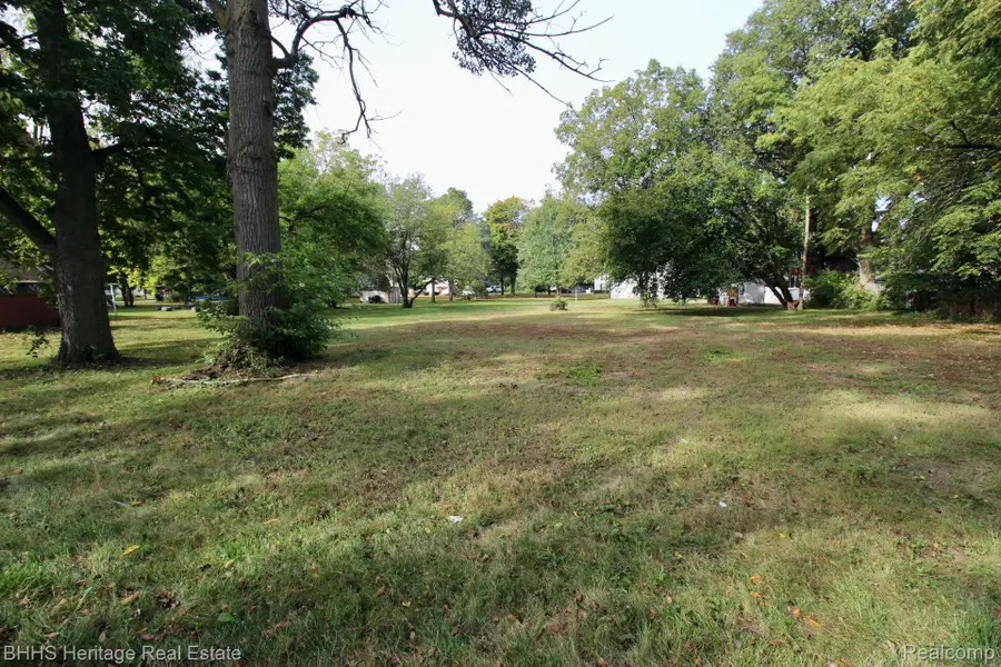 119 ANDRES ST, Chesaning, MI 48616 - Image #2
