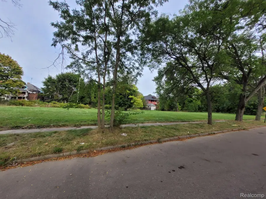 3280 CANTON ST, Detroit, MI 48207 - Image #3