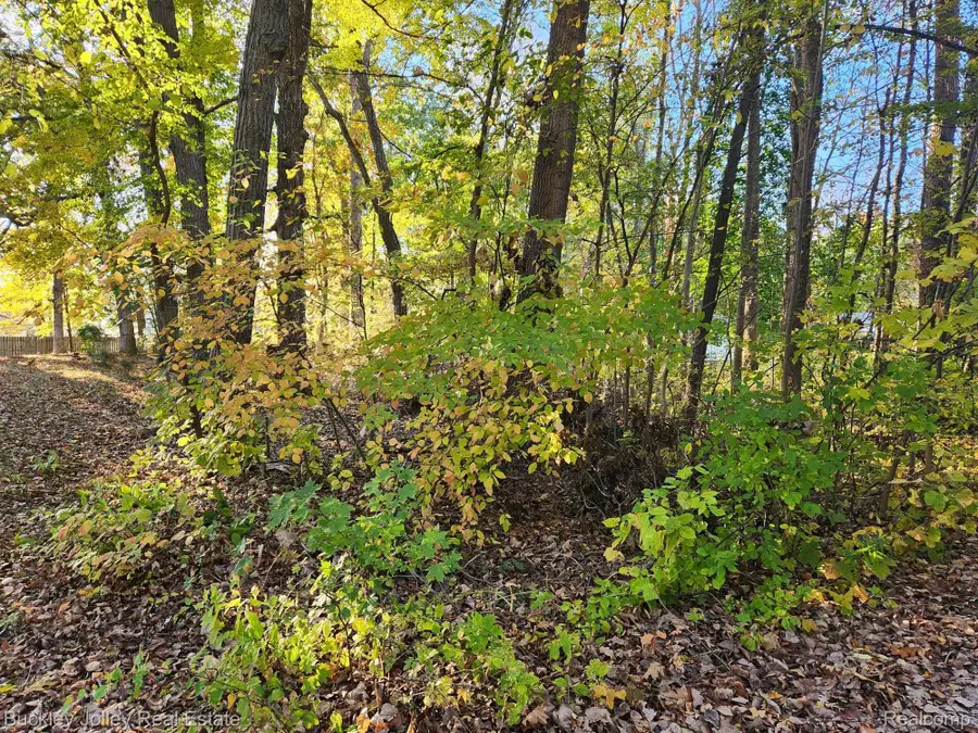 0000 VAN HORN DR, Pinckney, MI 48169 - Image #3