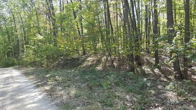 423 Mooncrest DR, Roscommon, MI 48653 - Image #1