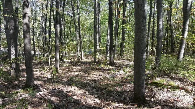 423 Mooncrest DR, Roscommon, MI 48653 - Image #3