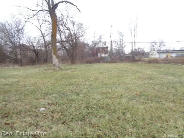 5230 LINWOOD ST, Detroit, MI 48208 - Image #3