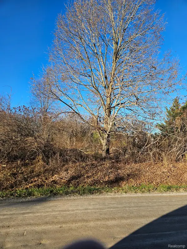 00 Hough, Almont, MI 48003