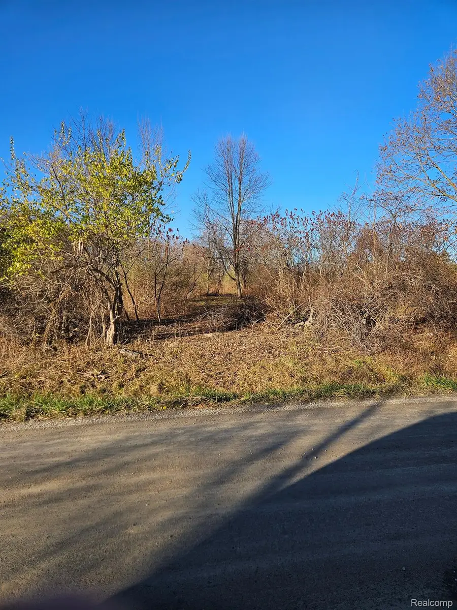 00 Hough, Almont, MI 48003 - Image #2