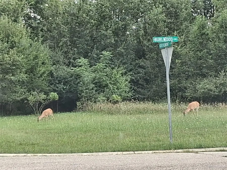 unit 21 BURLWOOD CIR, Grand Blanc Charter Township, MI 48439 - Image #3