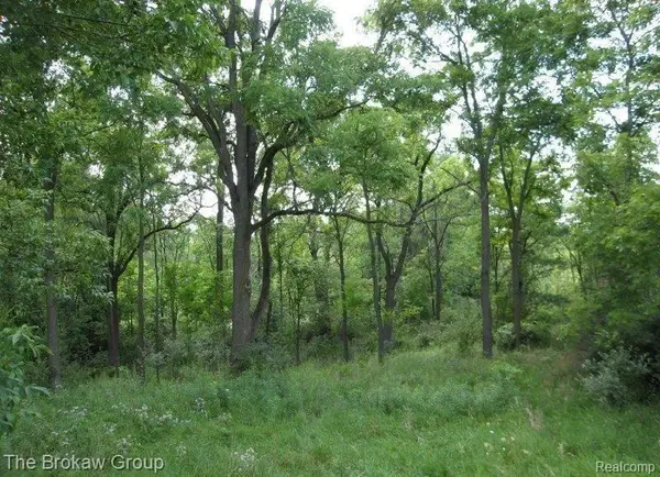 4226 Creeks Edge DR, Metamora, MI 48455