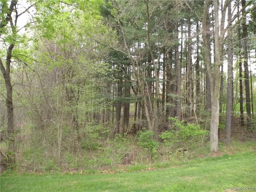 Lot 33 ALTA VISTA DR, Pinckney, MI 48169 - Image #3
