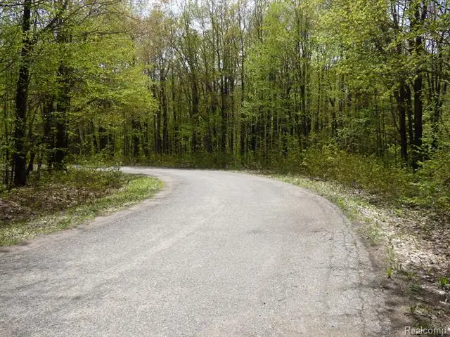 000 Valleywood Circle, Elmira, MI 49730 - Image #2