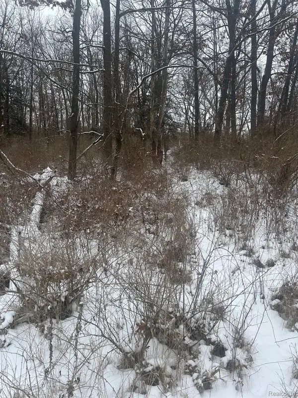 12840 LARKINS RD, Brighton, MI 48114