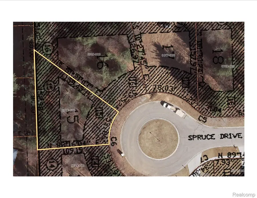 3115 SPRUCE DR, Port Huron Charter Township, MI 48060 - Image #3