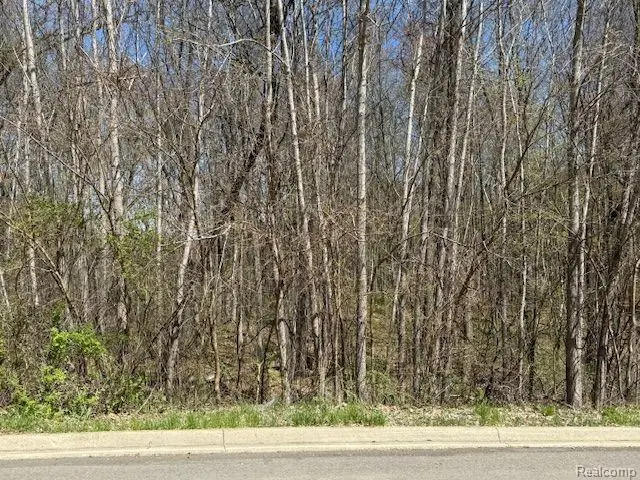 11978 Scenic Valley, Davisburg, MI 48350 - Image #3