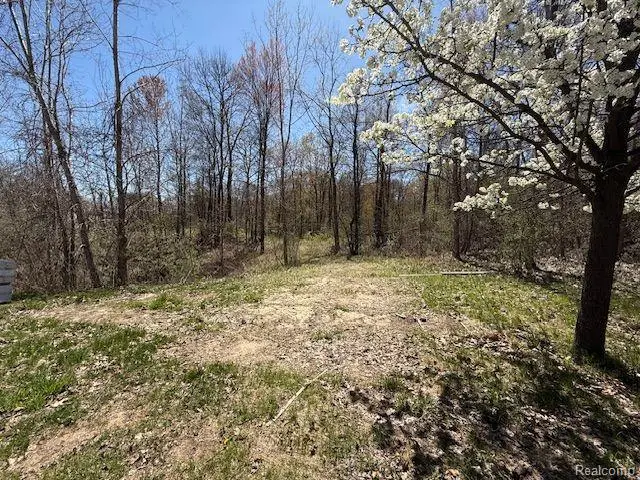 11999 Scenic Valley, Davisburg, MI 48350 - Image #2