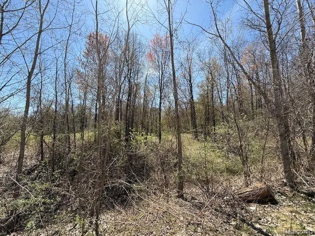 11999 Scenic Valley, Davisburg, MI 48350 - Image #3