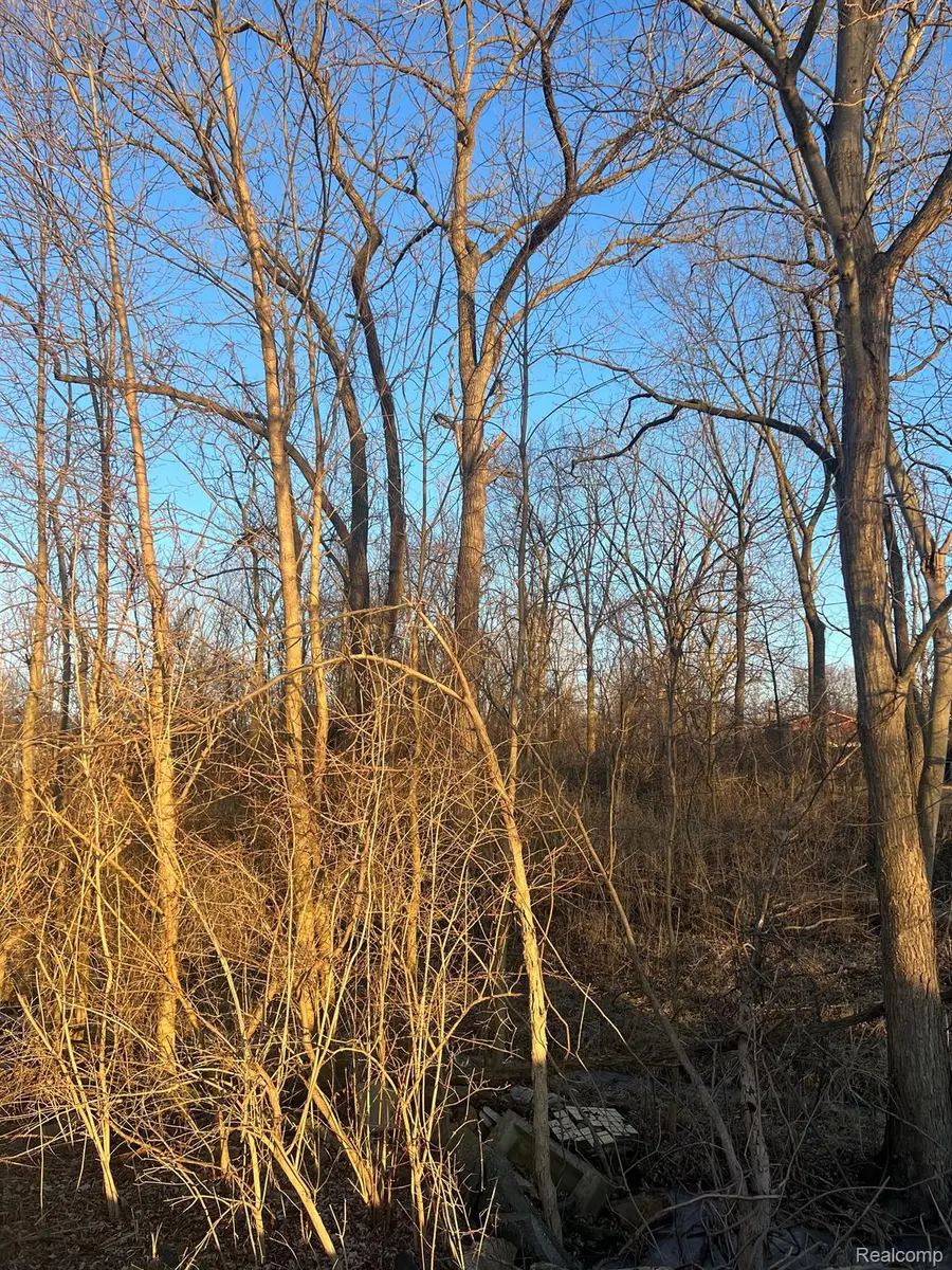 0 West River, Grosse Ile, MI 48138 - Image #3