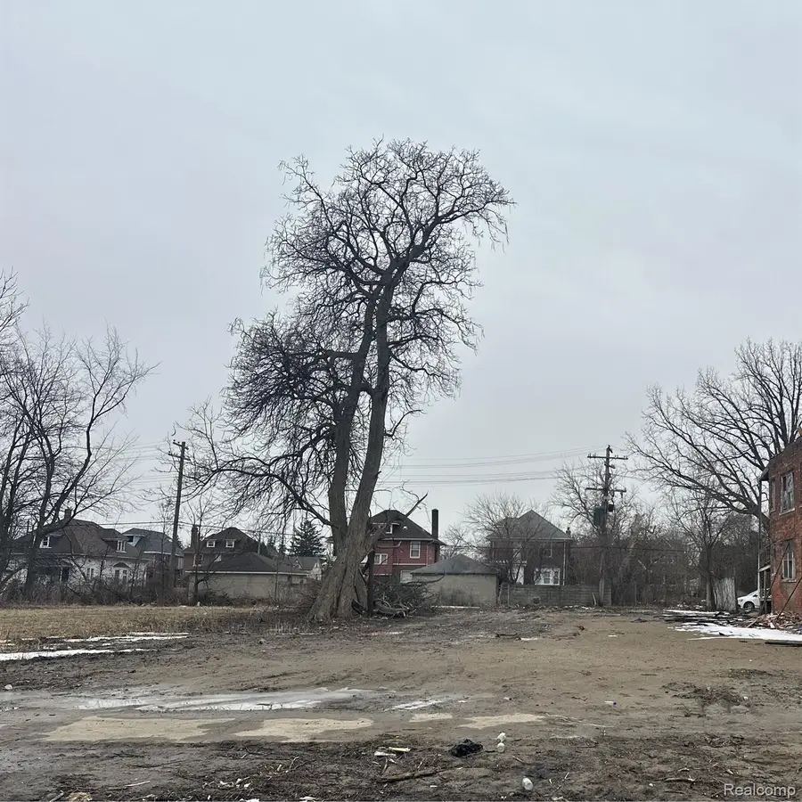 526 Harmon Street, Detroit, MI 48202 - Image #2