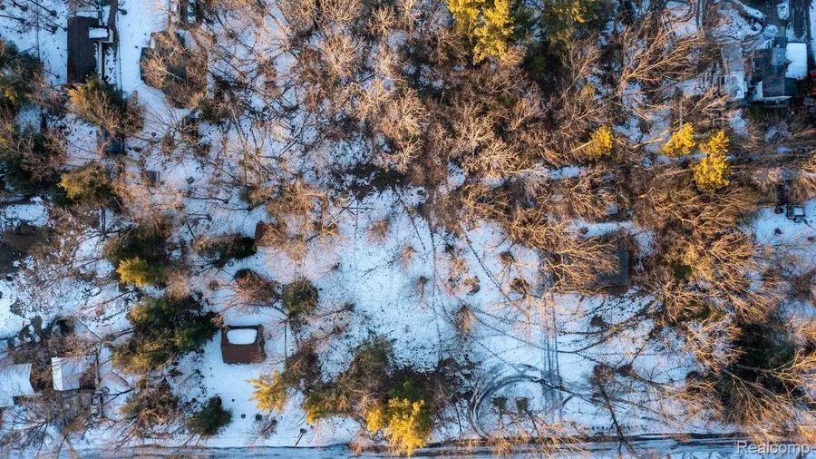 ML-AS 98 Larry Dr., Prescott, MI 48756 - Image #3