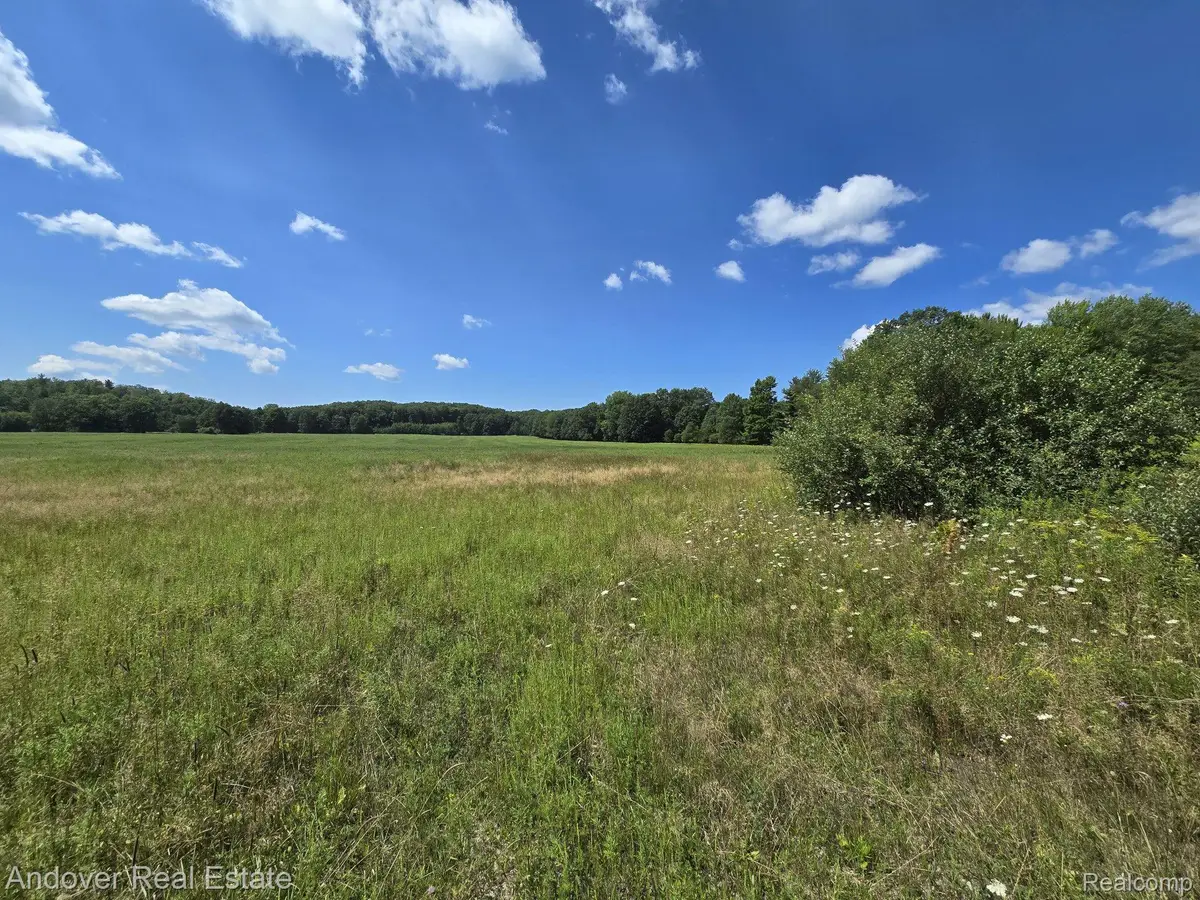 Leckrone Rd Parcel C, Brethren, MI 49619 - Image #1