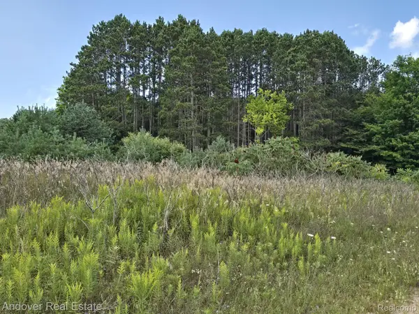 11 Mile Road B, BearLake, MI 49614