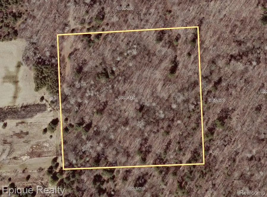 0000 Ravenswood, Kimball, MI 48074 - Image #3