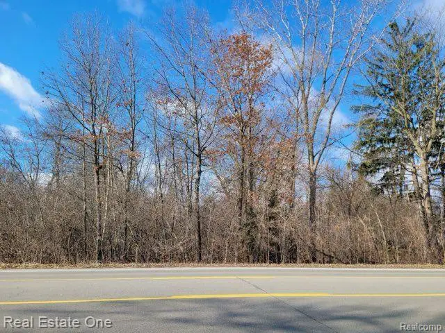 0000 UNION LAKE ROAD, White Lake, MI 48386 - Image #2