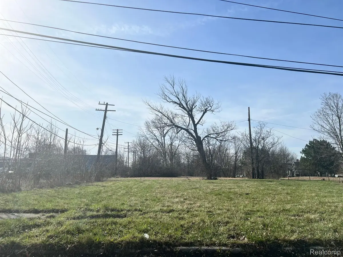 1925 MERRICK ST, Detroit, MI 48208 - Image #1