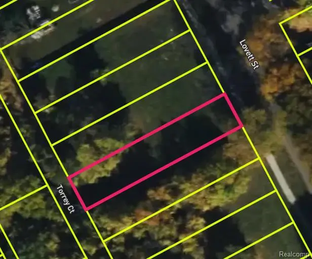 3555 LOVETT ST, Detroit, MI 48210 - Image #3