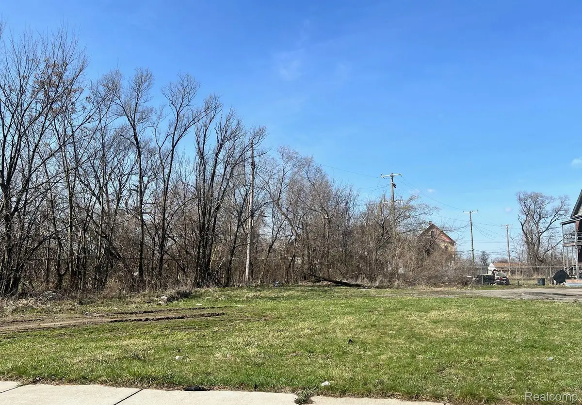 5131 BANGOR ST, Detroit, MI 48210 - Image #1