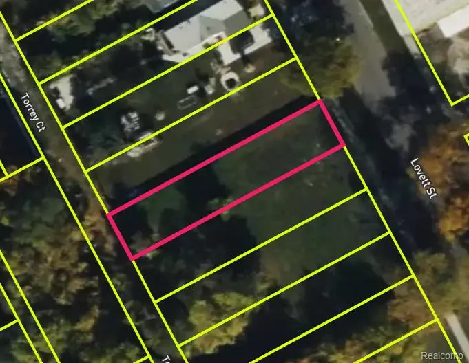 3573 LOVETT ST, Detroit, MI 48210 - Image #3