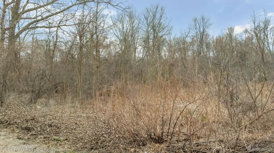 0000 Lakeview DR, White Lake, MI 48386 - Image #3
