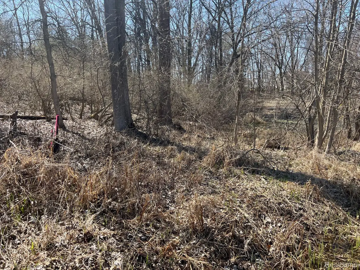 VL 1.98 Ac LAKE LAPEER DR, Metamora, MI 48455 - Image #1