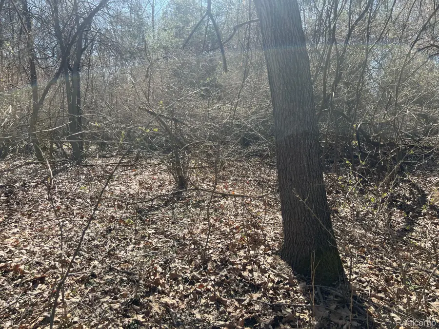 VL 1.98 Ac LAKE LAPEER DR, Metamora, MI 48455 - Image #3