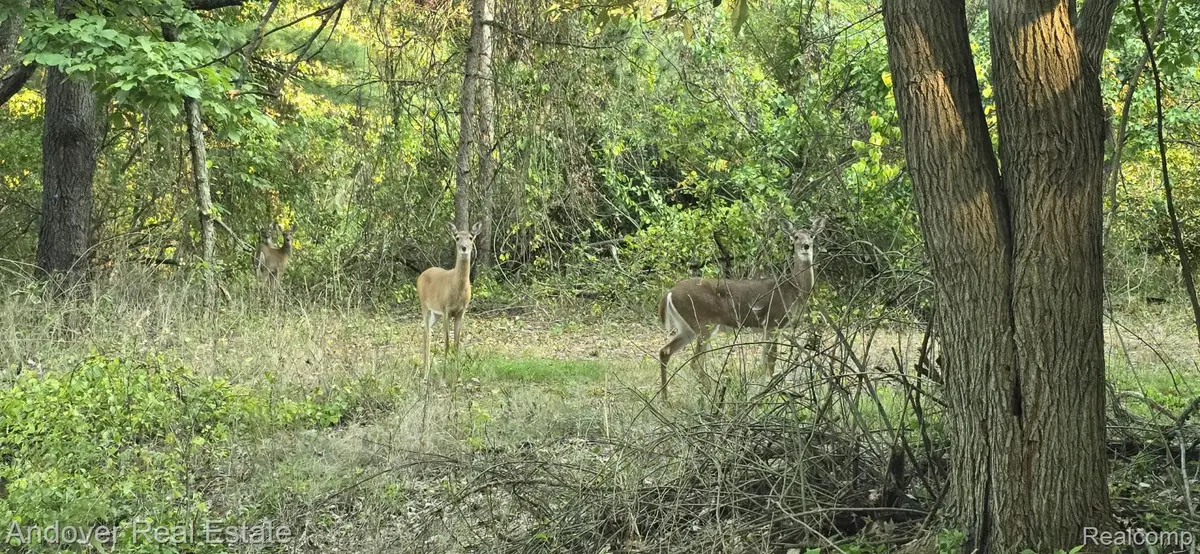 000C N Bay RD, Delton, MI 49046 - Image #1