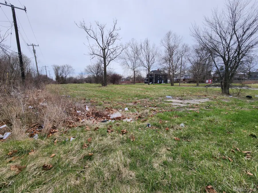 958 KITCHENER ST, Detroit, MI 48215 - Image #2