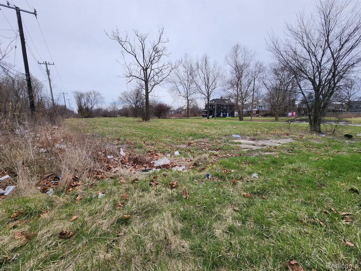 966 KITCHENER ST, Detroit, MI 48215 - Image #1