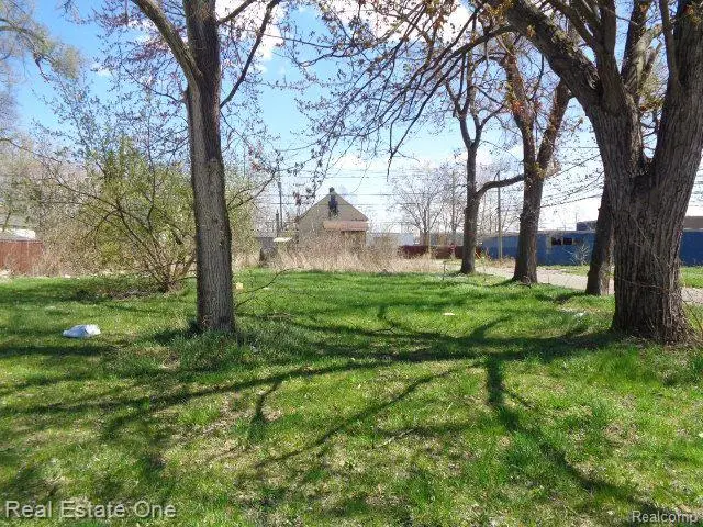 11808 SAINT LOUIS ST, Hamtramck, MI 48212 - Image #3