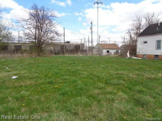 11670 SAINT LOUIS ST, Hamtramck, MI 48212 - Image #3