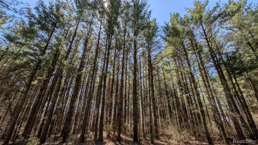 3665 ARIVACA DR, Millington, MI 48746 - Image #2