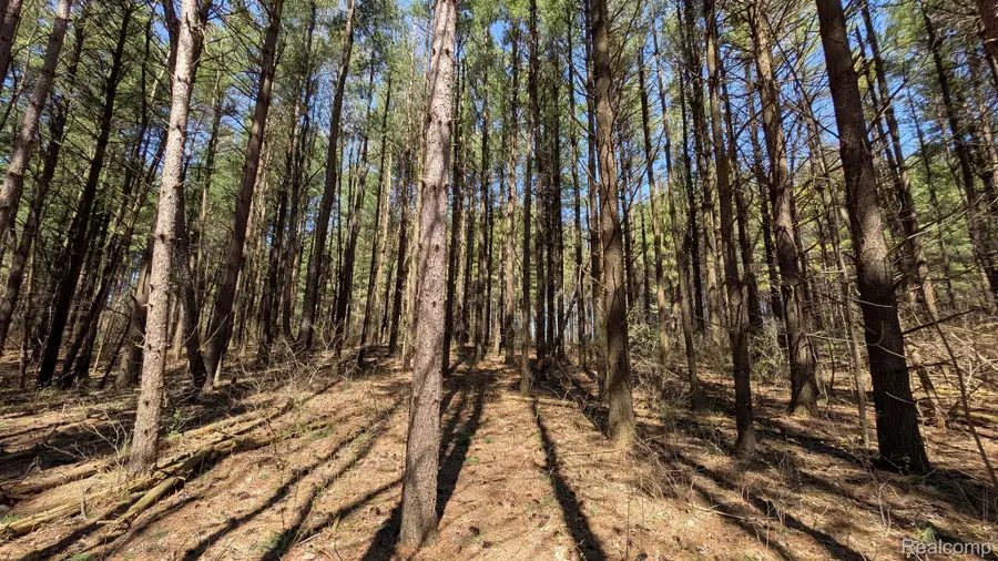 3665 ARIVACA DR, Millington, MI 48746 - Image #3